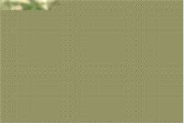 《澄丰》封面图片