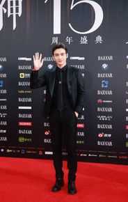 张彬彬(Vin)20170909芭莎慈善夜性感图片壁纸