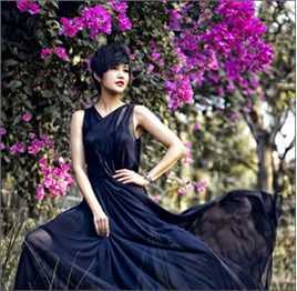 《鲍蕾》封面图片