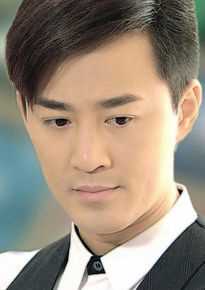 最全林峯/林峰(LAM Raymond)在《谈情说案》2010中的壁纸