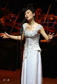 尚雯婕(Laure Shang)2009上海交响音乐会性感图片图集
