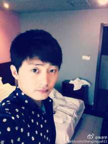 《张京宇》封面图片