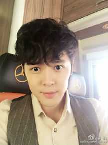 付辛博(Fu Xinbo)图册