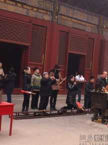 最新付辛博(Fu Xinbo)精彩图册