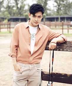 最全付辛博(Fu Xinbo)壁纸