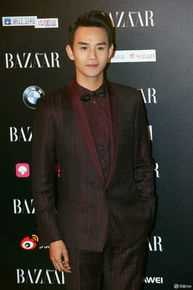 王凯(Wang Kai)芭莎慈善夜图片图册