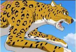 罗布·路奇(ロブ ルッチ<br>Rob Lucci)各种形态图片图册