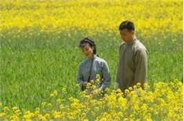 任程伟精彩图册