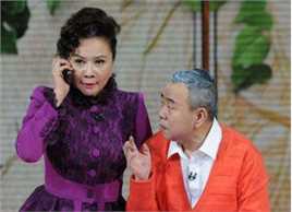 蔡明历年春晚、元宵晚会造型