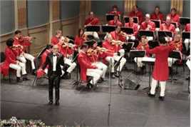 平安(Anson)  维也纳交响乐团2014年跨年图片图集