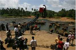 温德光工作照图片图集