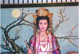 童爱玲(Eileen Tung)影视中的壁纸壁纸