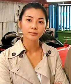 蒙嘉慧(Yoyo Mung)法证先锋素颜照壁纸