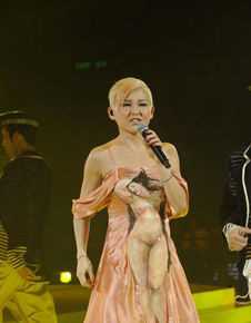 刘美君(Prudence Liew)舞台演绎照前后照片
