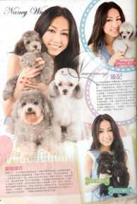 胡定欣(WU TING YAN，Nancy Wu)最优质杂志报道相册