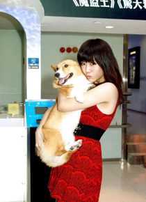 高清李曼筠(Maggie LEE)精彩图册