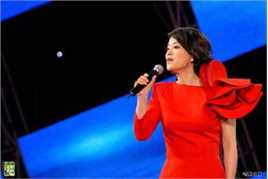 毛阿敏演出图册图片图集