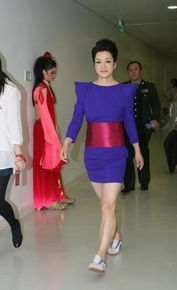 毛阿敏参加活动照片生活照相册