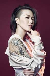 谭维维(Sitar tan)图册图册