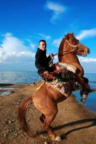 杨子照片生活照相册