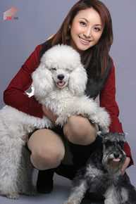 隋兰公益美图性感图片图集