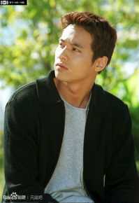 最全元斌(Won Bin)在《蓝色生死恋》、《小盖子》中的壁纸