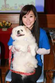 高清傅明宪(Gigi Fu)图片