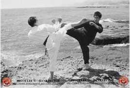 李小龙(Bruce Lee（英语）、ブルース.リー（日语）、 （朝鲜语))与李俊九图册