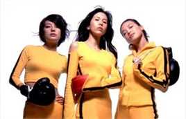 李小龙(Bruce Lee（英语）、ブルース.リー（日语）、 （朝鲜语))金牌粉丝集锦前后照片