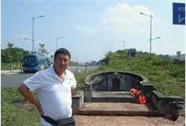 精选叶大鹰图片