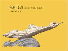 陈志华(chenzhihua)主要作品生活照