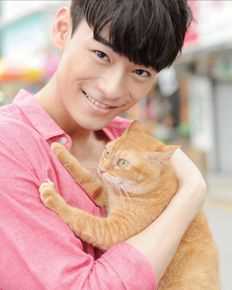 精选何浩文(Dominic Ho)