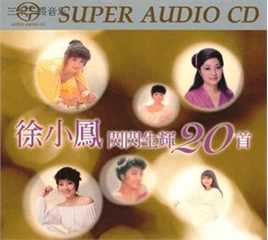徐小凤(Paula Tsui)最优质专辑封面相册