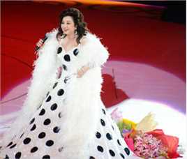 徐小凤(Paula Tsui)演唱会图册