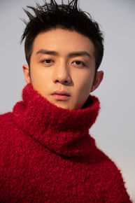 李泽锋精选 图册