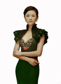 章子怡(Zhang Ziyi)拍国家宣传片前后照片