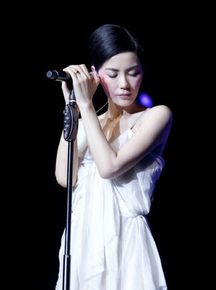 王菲(Faye Wong)2011香港演唱会生活照相册
