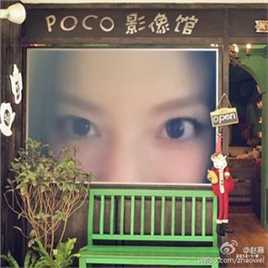 最优质赵薇(Vicki Zhao，Zhao Wei)精彩图册