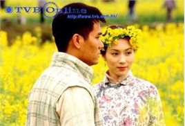 林家栋(Lam Ka Tung，Gordon Lam Ka Tung)《茶是故乡浓》精选剧照