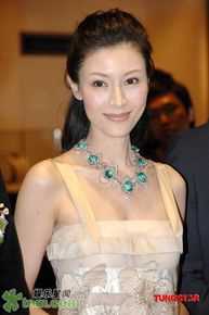 李嘉欣(Michele Monique Reis)精彩图册2