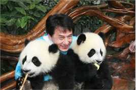 成龙(Jackie Chan)保护动物公益活动素颜照相册