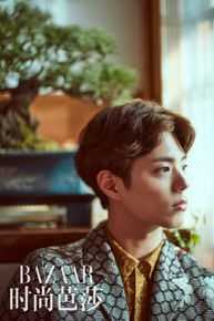 朴宝剑(|Park Bo Gum)时尚芭莎性感图片壁纸