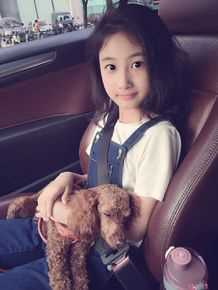 谢雨辰(Shirley)人物图集图片图集