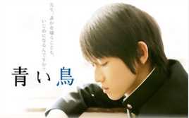 本乡奏多(本郷奏多（平假名：ほんごう かなた/罗马音：Hongo Kanata）)青い鸟壁纸壁纸