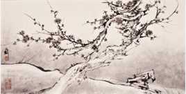 韩璐素以为绚，画作。前后照片