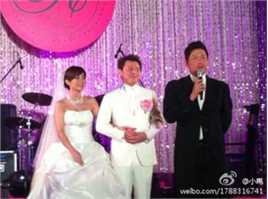 庹宗康圆山饭店台北婚宴图片图册