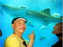 高清顾宝明(Paoming Ku)精彩图册