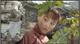 王晶京华烟云--戴芬前后照片