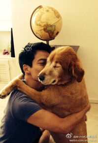 高圣远(Archie Kao（音：阿尔奇）)生活照壁纸壁纸