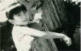 堂本光一(KOICHI DOMOTO)童年的图册